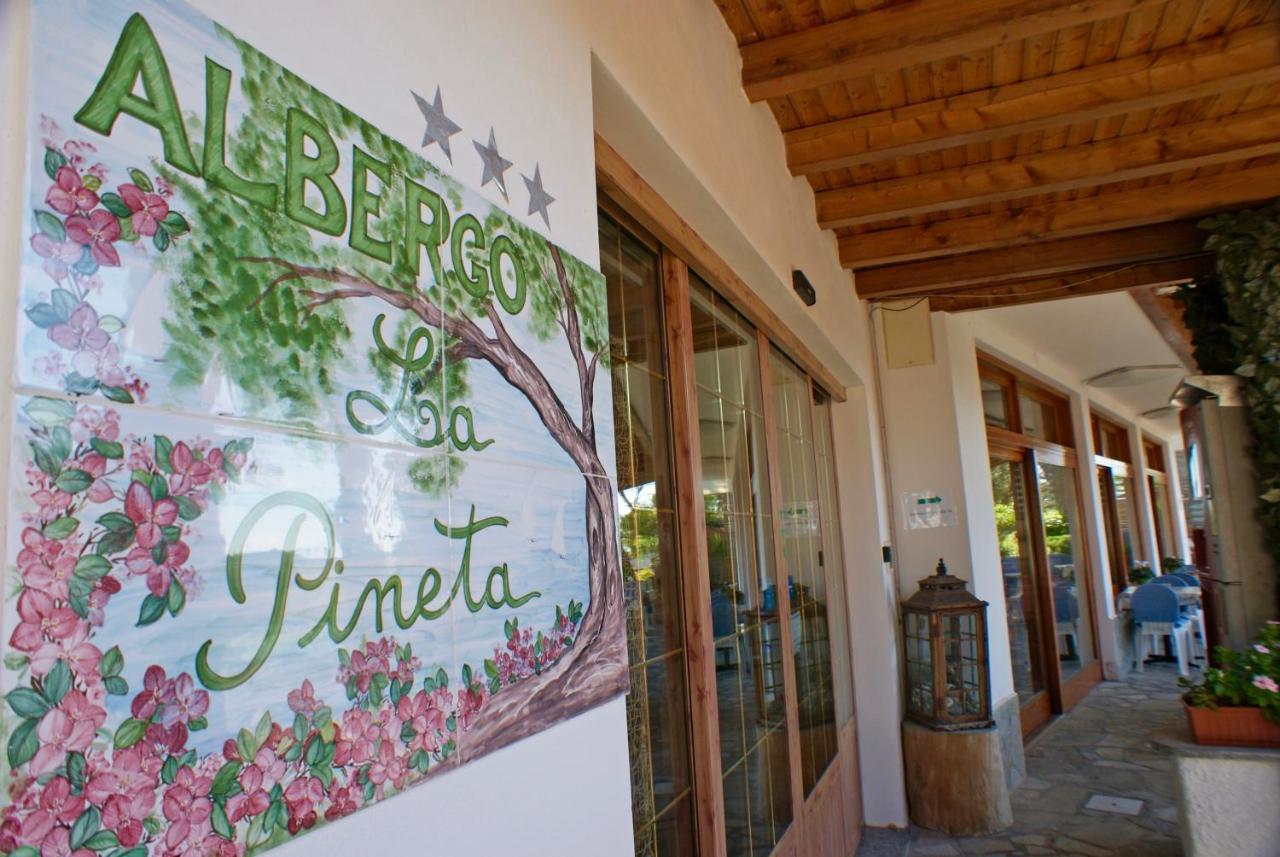 Albergo La Pineta Marina dʼMarina dʼAndora Exteriér fotografie