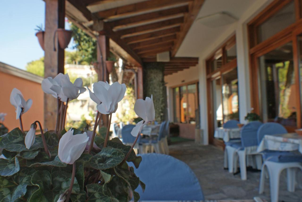Albergo La Pineta Marina dʼMarina dʼAndora Exteriér fotografie