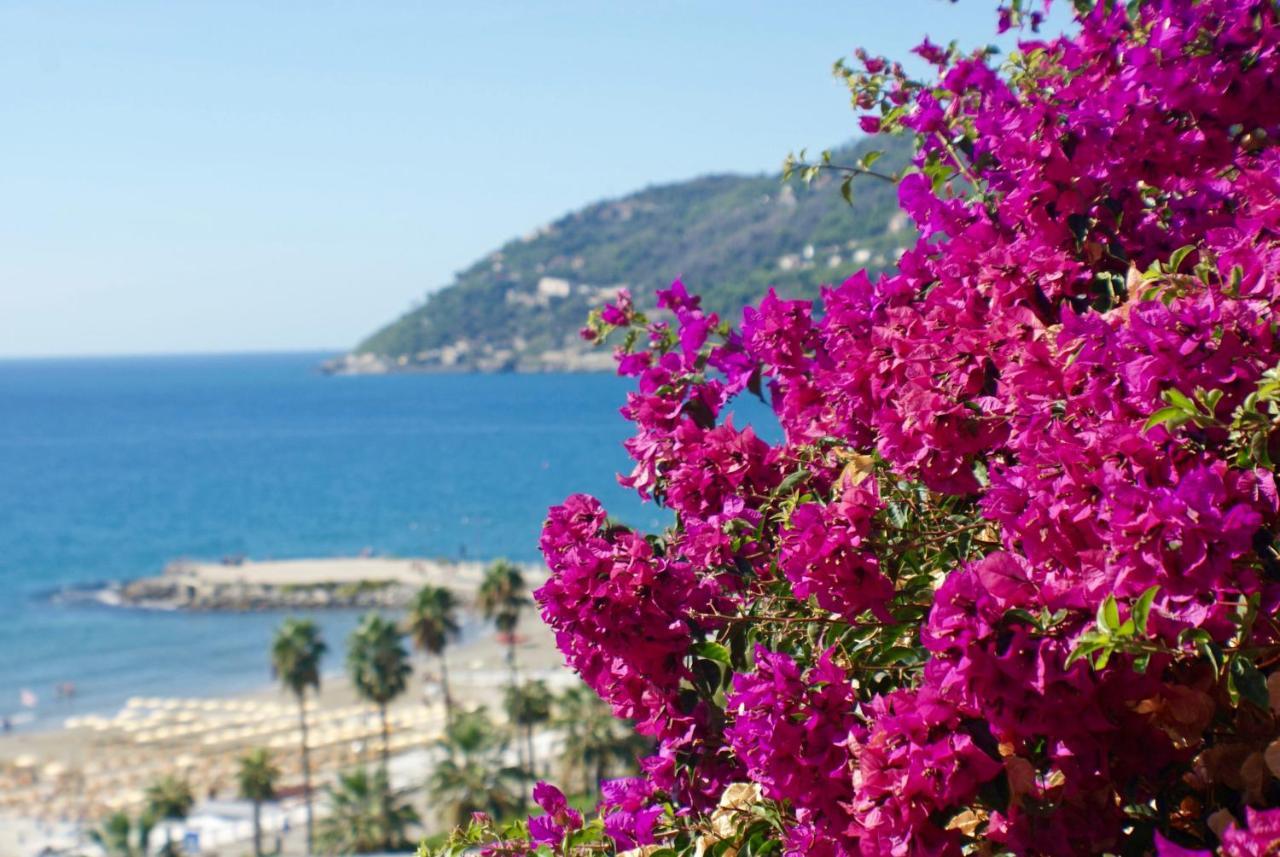 Albergo La Pineta Marina dʼMarina dʼAndora Exteriér fotografie